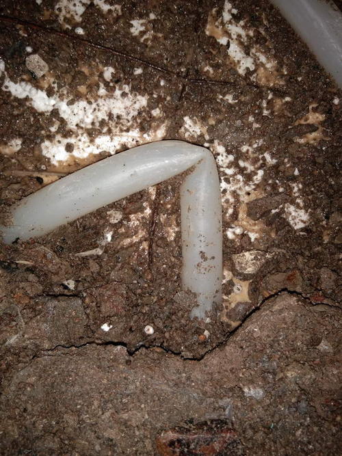 青川堵点精准查找